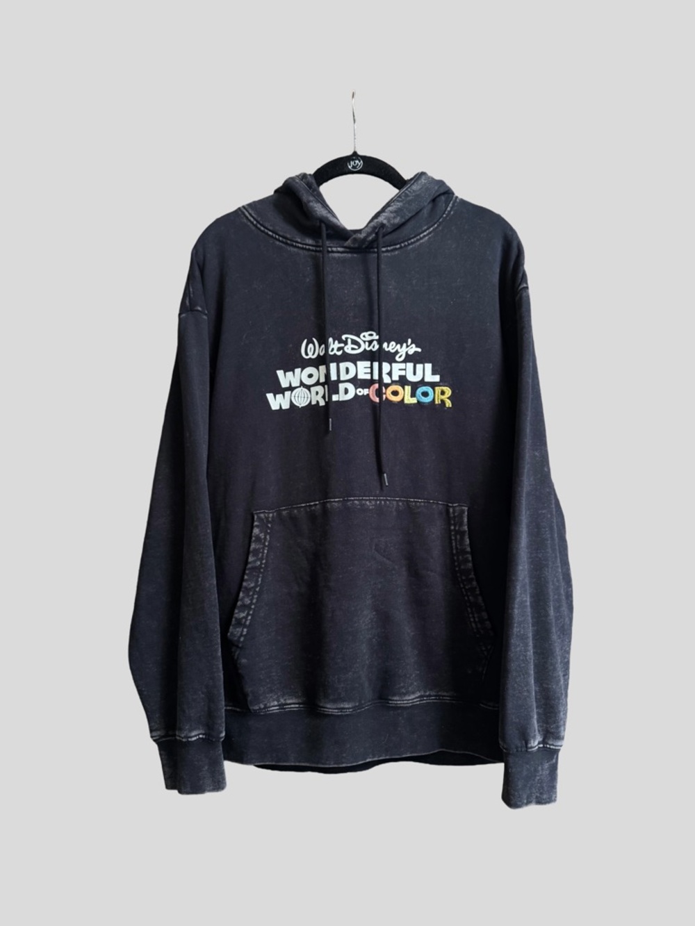 Disney 100th Anniversary Wonderful World of Color Hoodie Limited Edition Japan